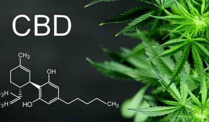 Il cannabidiolo puro riduce le crisi epilettiche oltre il 50%